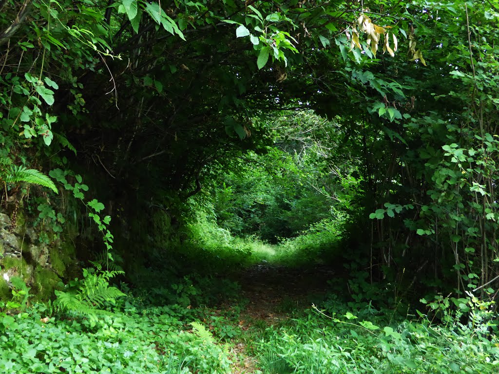 The Round Green Door (d'après JRR Tolkien...) by Marco Carnelli