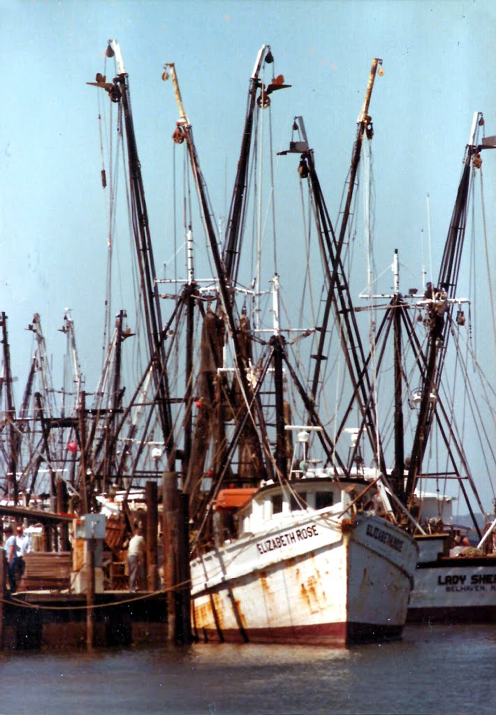 © Chincoteague Bay 1979 Elizabeth Rose (Lady She__ Belhaven NC) by Geraldine Clark