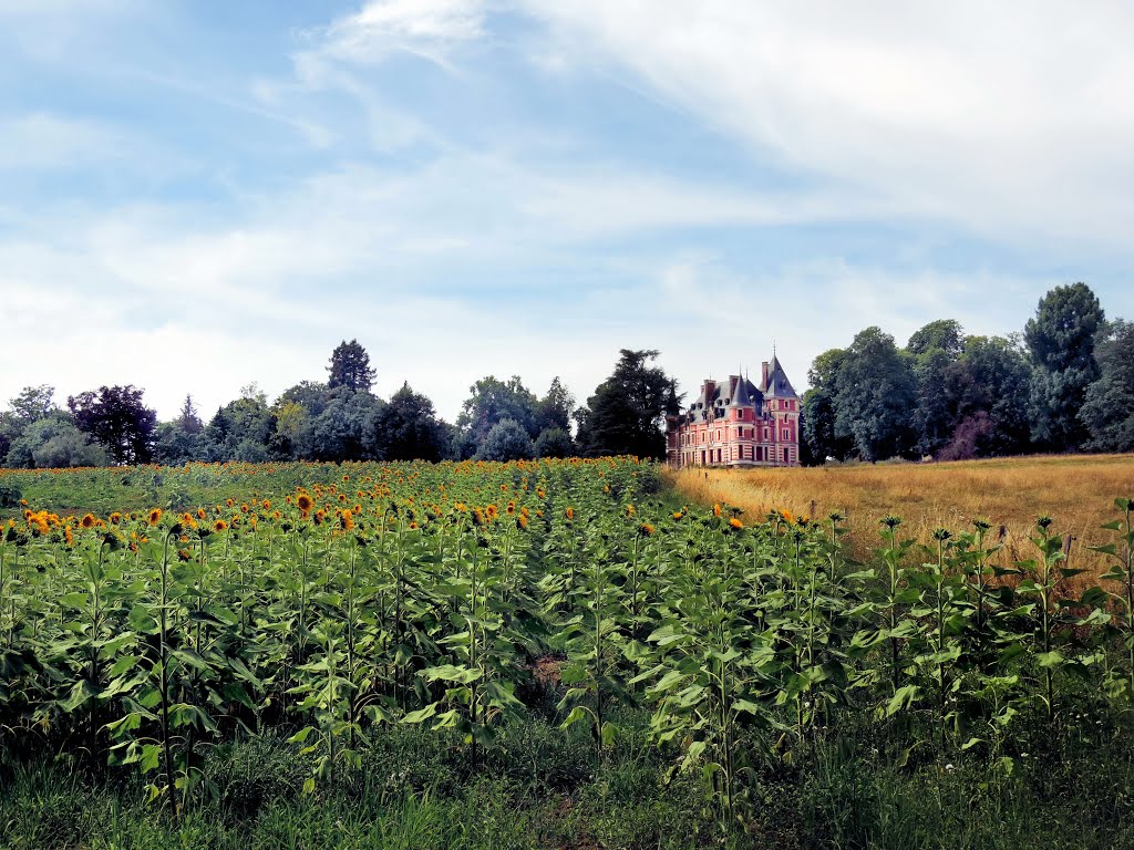 Château de Bréjoux à Solignac, Haute Vienne by Jean Louis Capdevill…