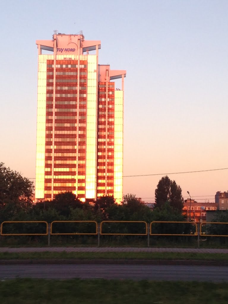 Dąb, Katowice, Poland by Przemysław Pobóg - Z…