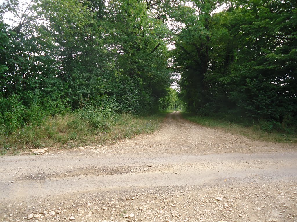 Carrefour sur le Tondenet vers Mancenans by Claudius B.