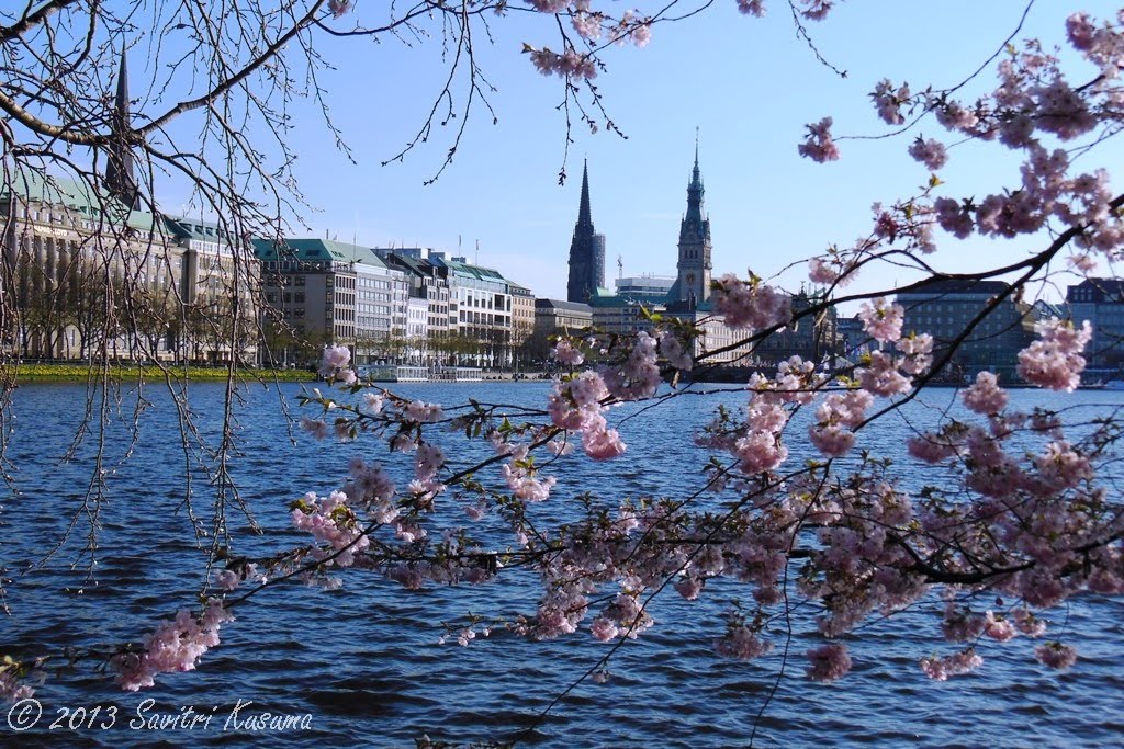 Binnenalster - Hamburg, Germany by Savitri Kusuma