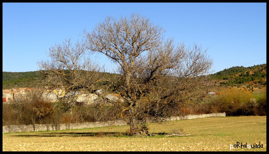 Arbeteta Alto Tajo Guadalajara by PG PortalGuada