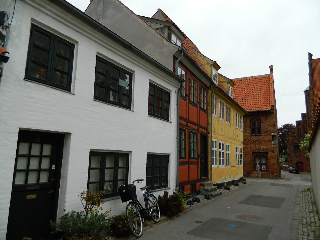 Helsingør, Old Town, Buildings&Streets, .02 by Emel Yamanturk