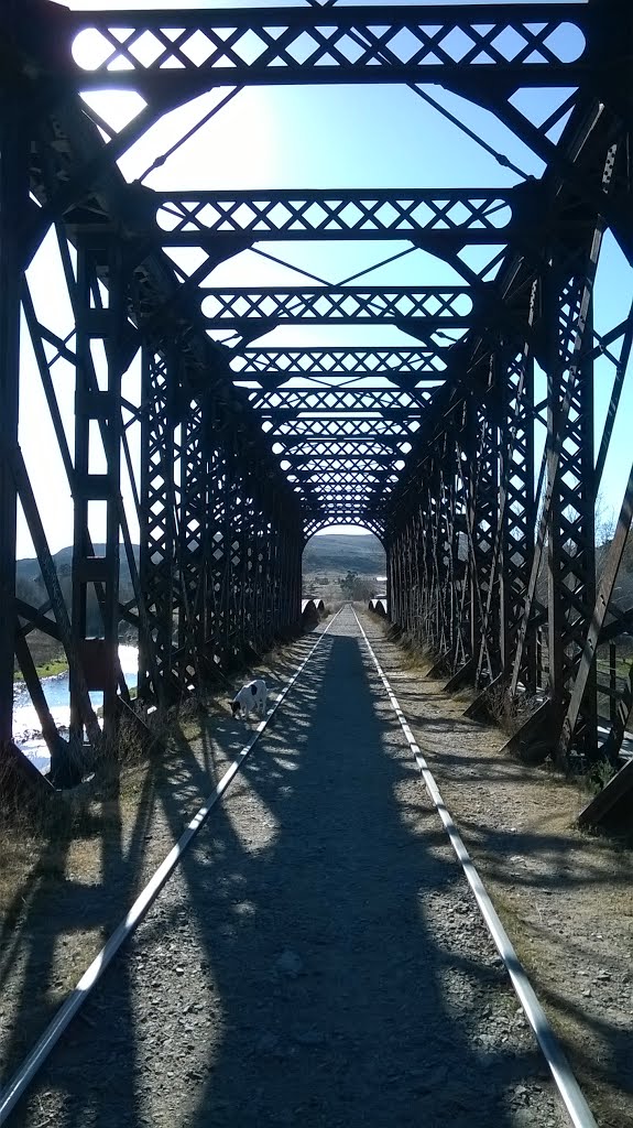 Puente y sombra by Claudio Leonel Siado…