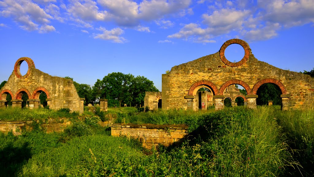 Gmina Kunów, Poland by Jan Czaja