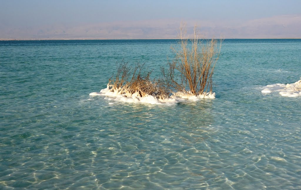 Unnamed Road, Israel by cohensharli