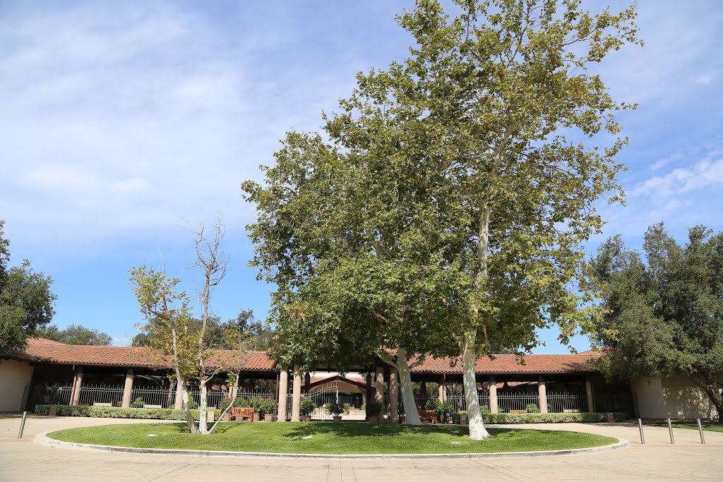 Entrance to the Ronald Reagan Presidential Library, Simi Valley, CA by kluke