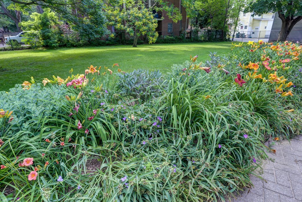 Flowers and landscaping by Rochester Parks