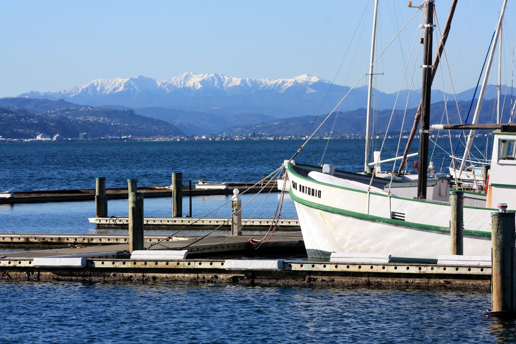 Petone & Tararua's from Well'ton waterfront by Pieter Verhoeven