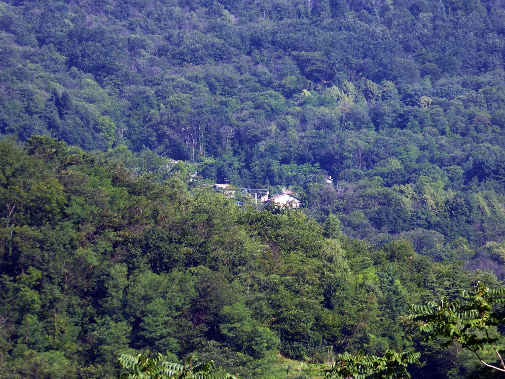 Case di Montebuglio nel bosco di luglio by Marco Carnelli