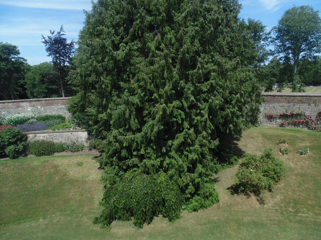 View from Farnham Castle by Robert'sGoogleEarthP…