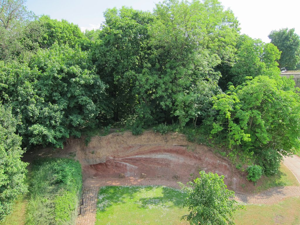 Erfurt, geologischer Aufschluß Keuper auf dem Petersberg by Bernd Severin