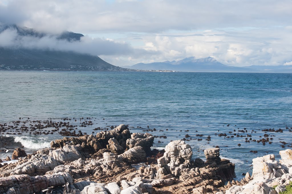 Betty's Bay, Western Cape by Deon Joubert