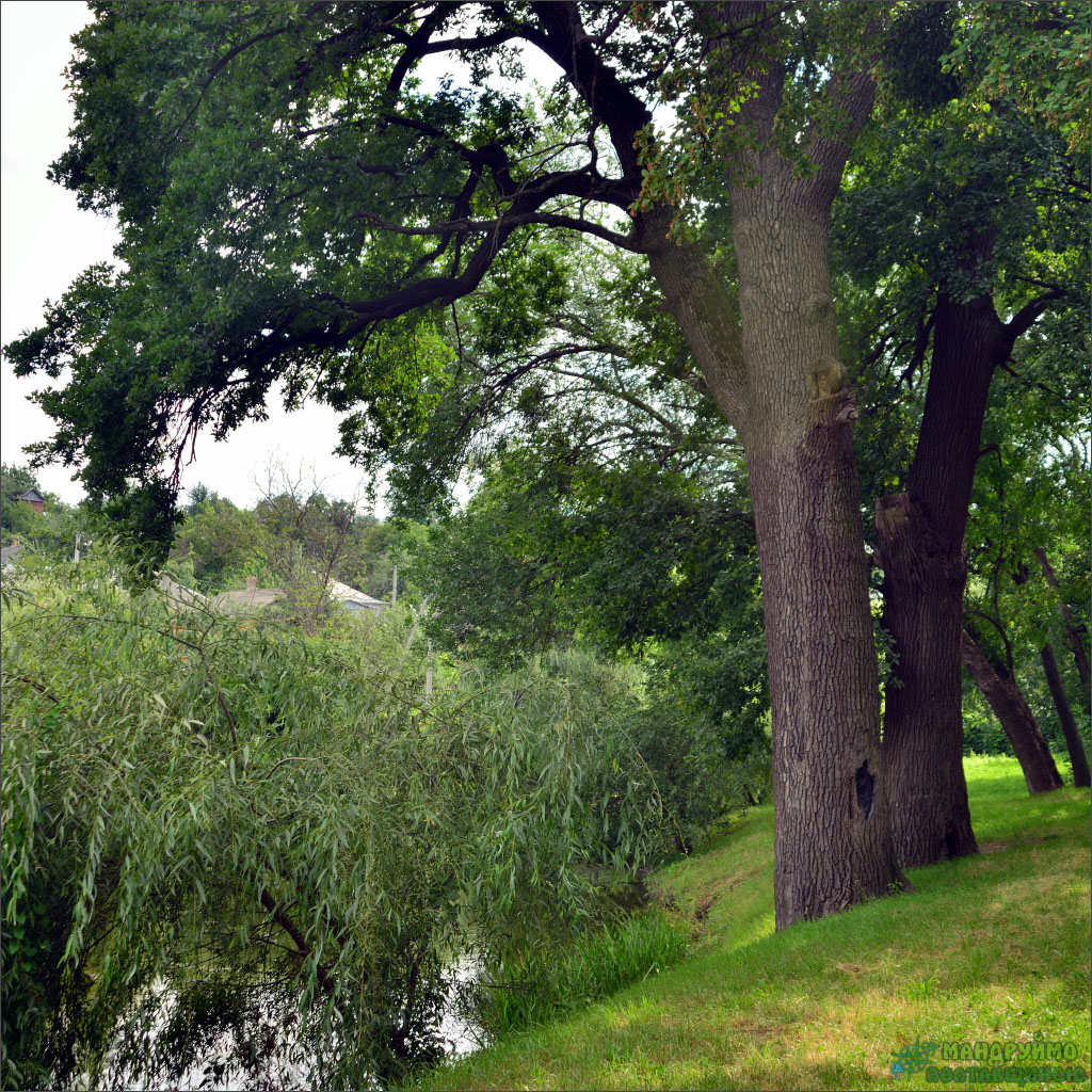 Oktyabrs'kyi district, Poltava, Poltavs'ka oblast, Ukraine by Юрій Pепало