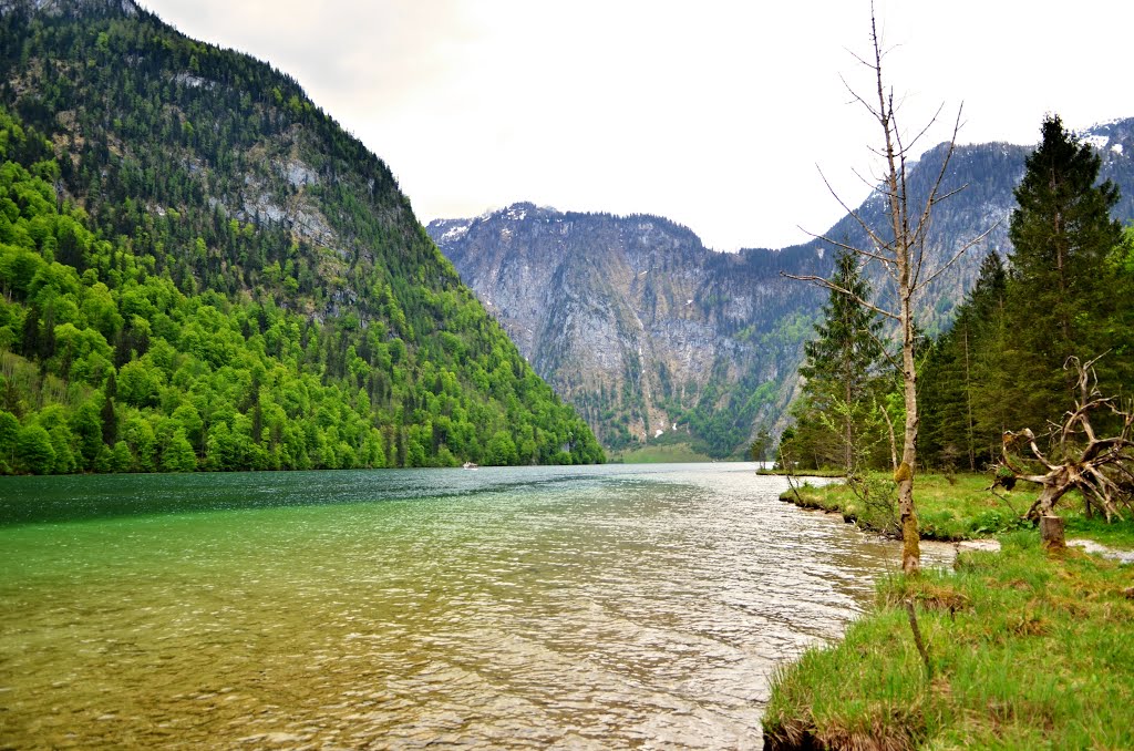 83471 Schönau am Königssee, Germany by bredy46