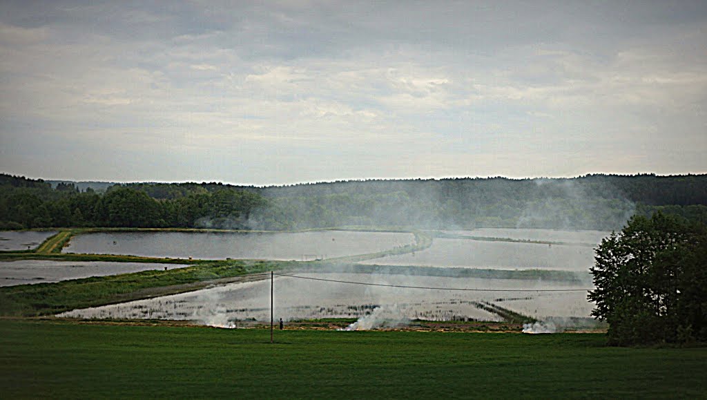 Rakowice, Polska by Fotoszop