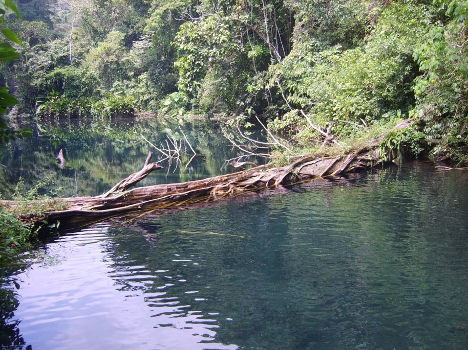 Laguna azul by Irving Castañeda Gue…