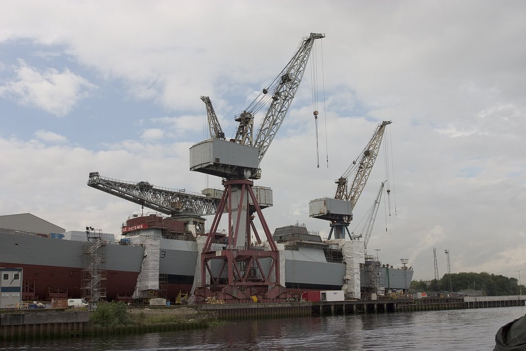 Clyde Cranes by Kent Martens