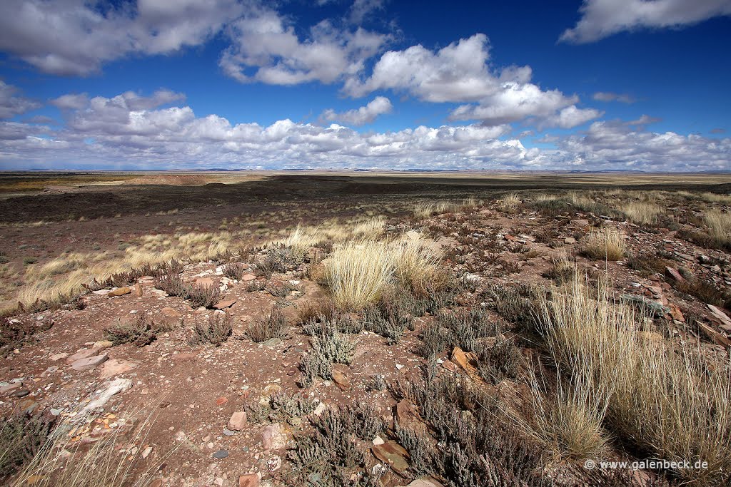 Homolovi State Park by Thomas Galenbeck