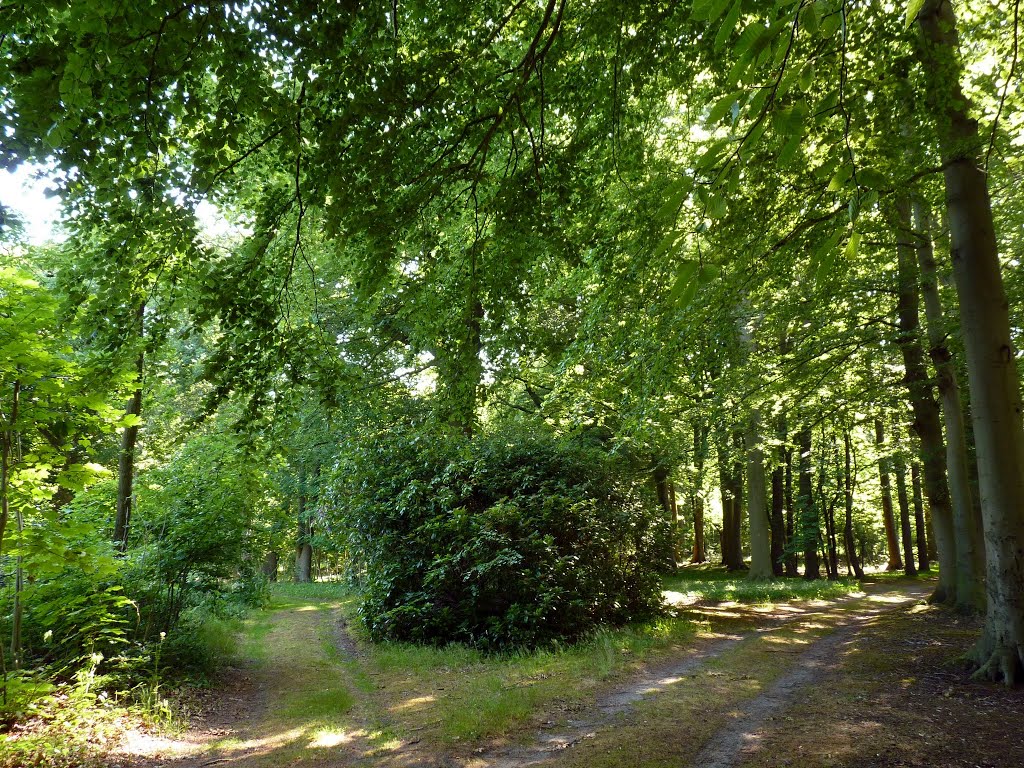 Landgoed Vogelenzang by Pieter Klein