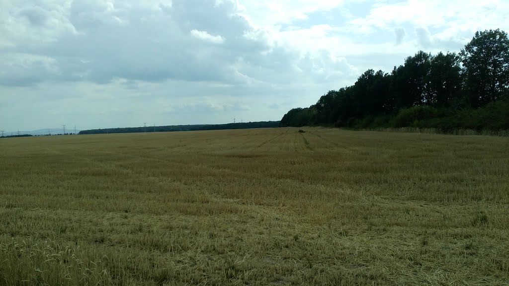 072 01 Pozdišovce, Slovakia by Lukáš Roman