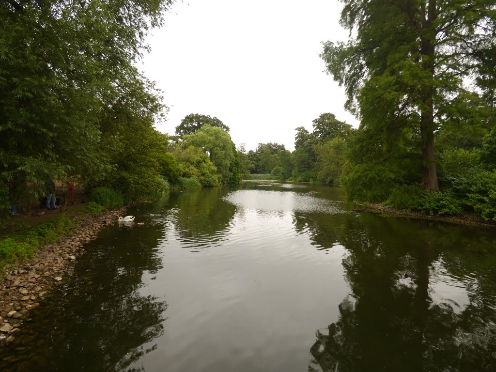 London Kew Gardens 2015 by hatsuq y