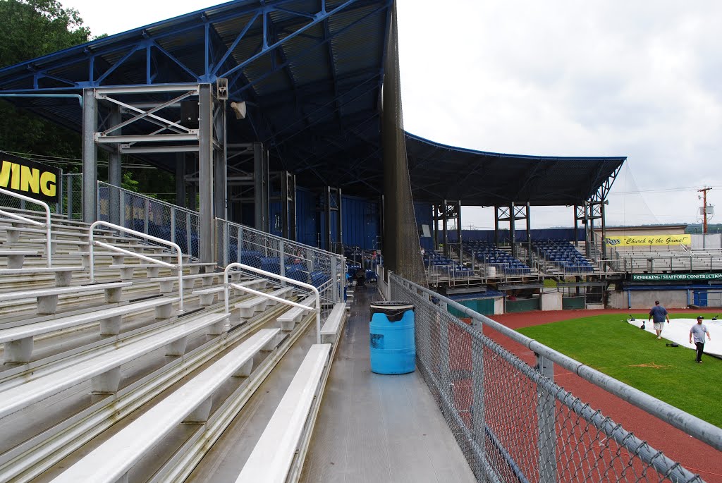 Princeton Rays - Hunnicutt Field by Michael Nolan