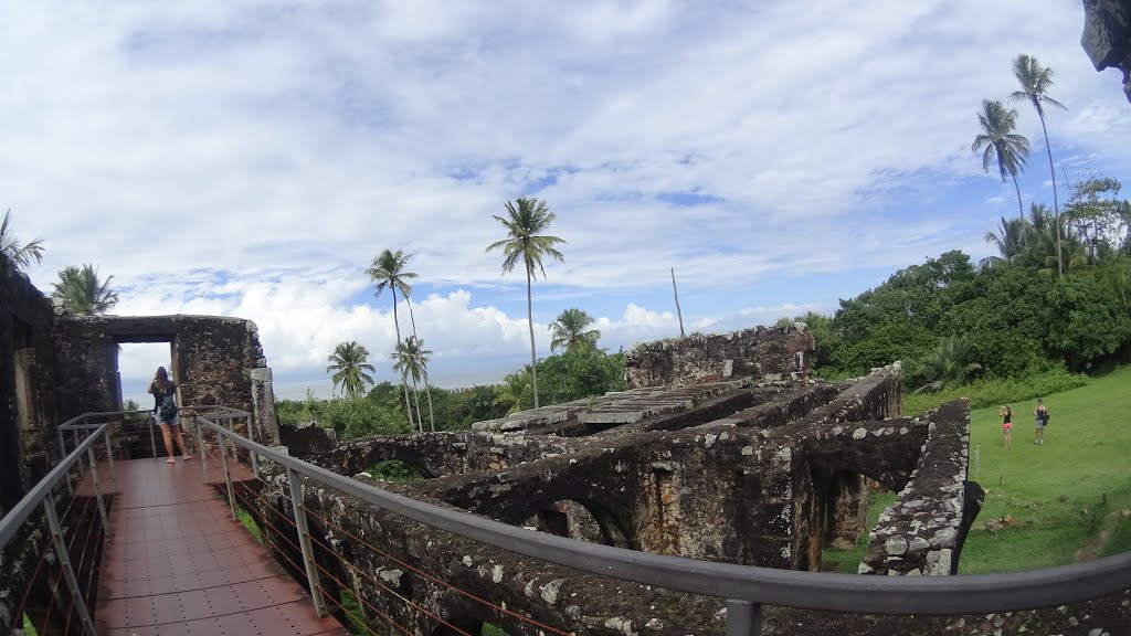 Mata de São João - State of Bahia, Brazil by pedaladventure