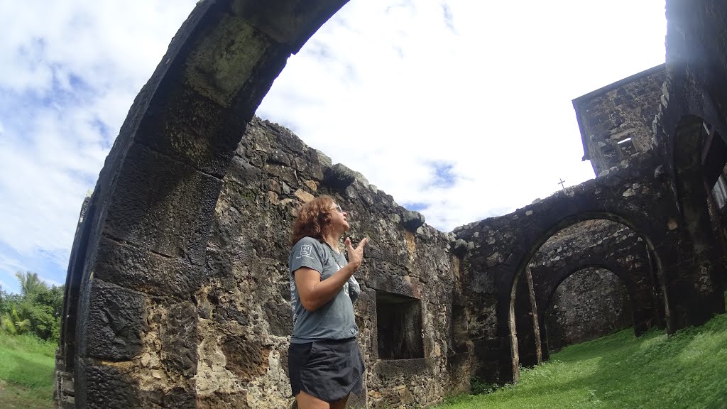 Mata de São João - State of Bahia, Brazil by pedaladventure