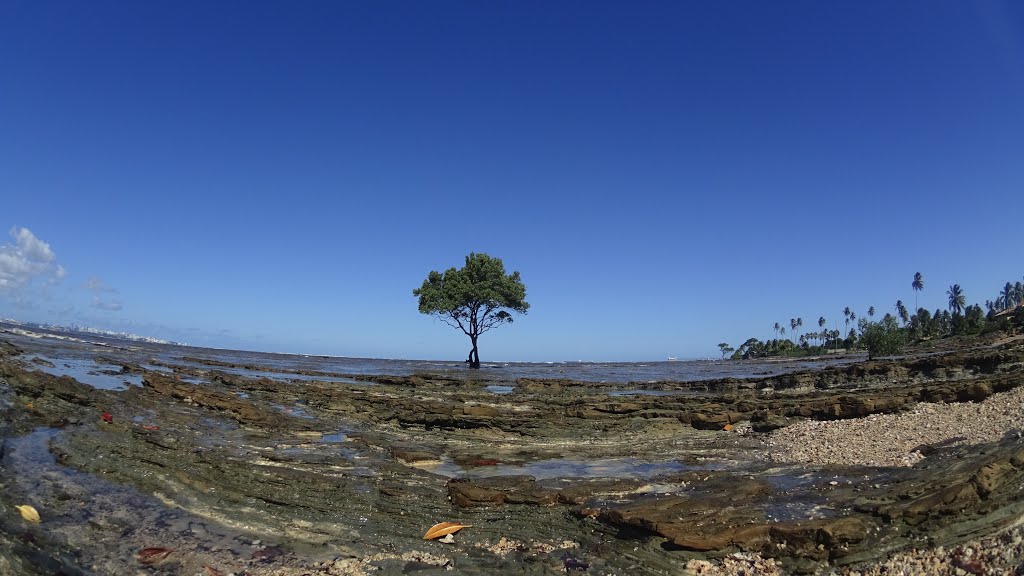 Vera Cruz - State of Bahia, Brazil by pedaladventure