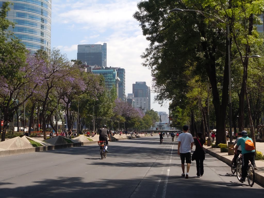 Paseo de la Reforma by GMonroy