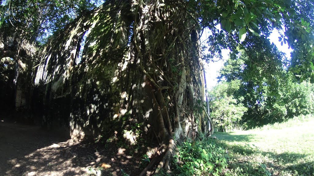 Vera Cruz - State of Bahia, Brazil by pedaladventure