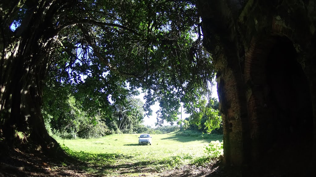 Vera Cruz - State of Bahia, Brazil by pedaladventure