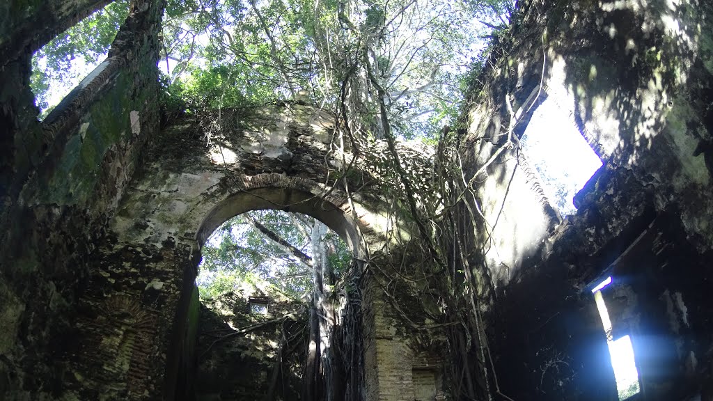 Vera Cruz - State of Bahia, Brazil by pedaladventure