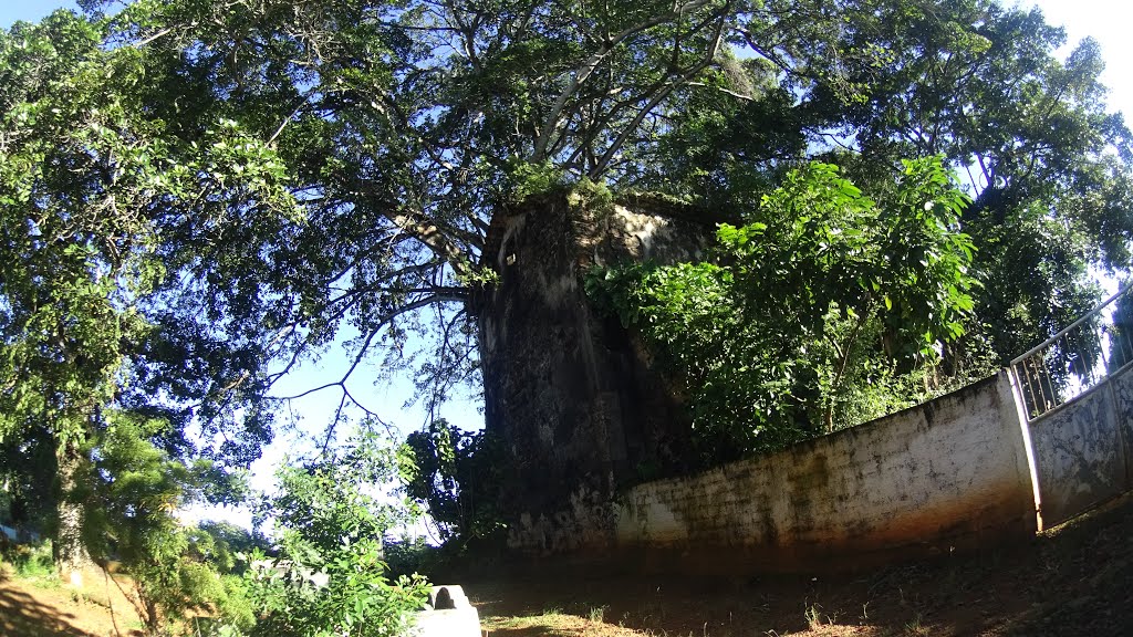 Vera Cruz - State of Bahia, Brazil by pedaladventure