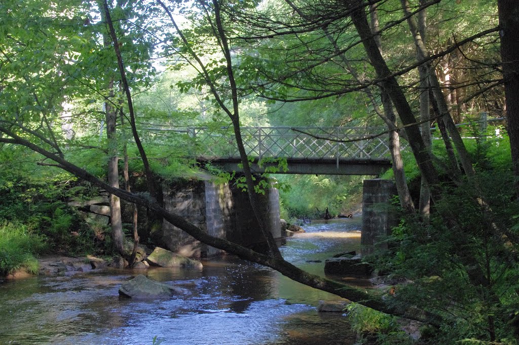 Maple Creek Road bridge by tdistefano