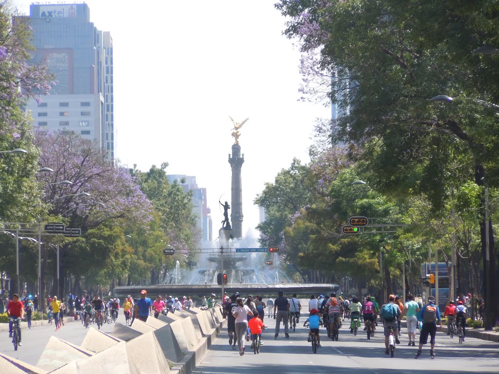 Paseo de la Reforma by GMonroy