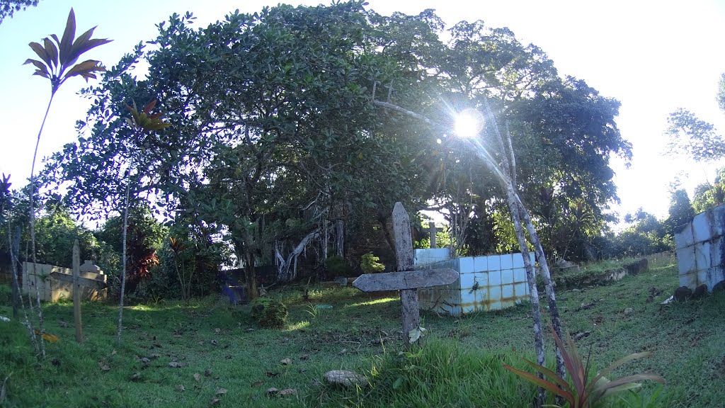 Vera Cruz - State of Bahia, Brazil by pedaladventure