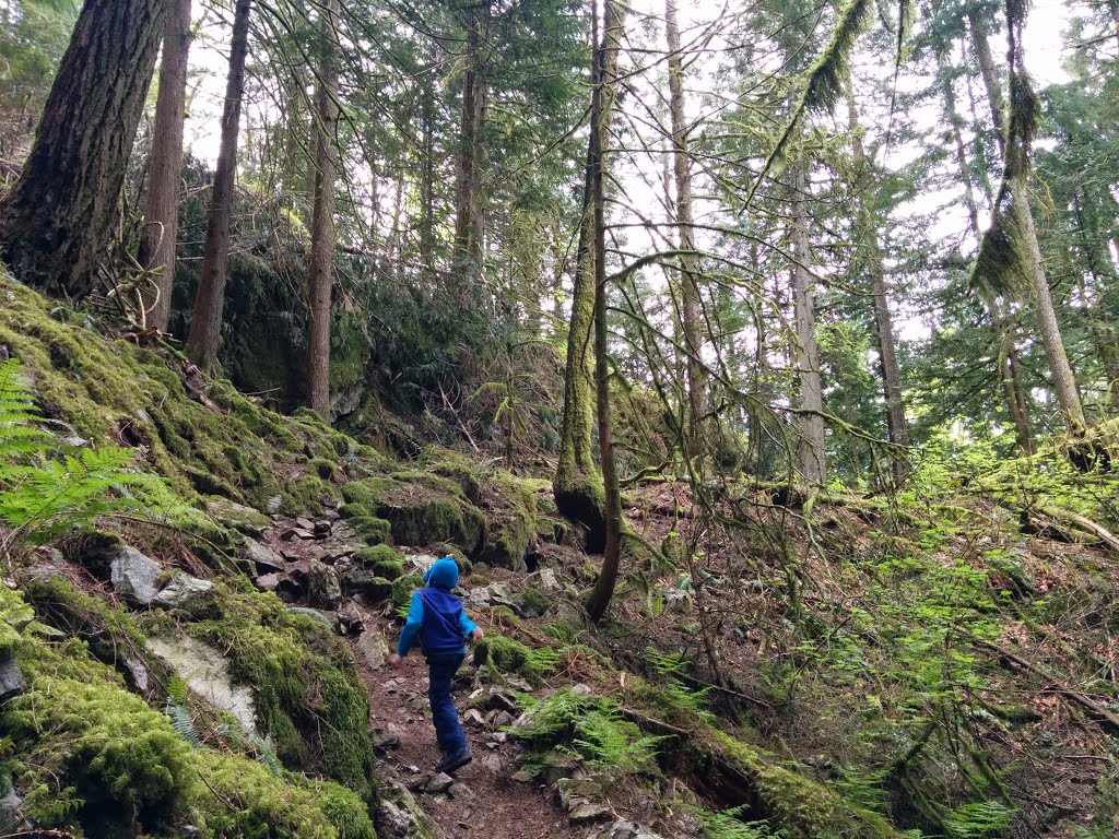 Hope Lookout Hike by Terry Cameron