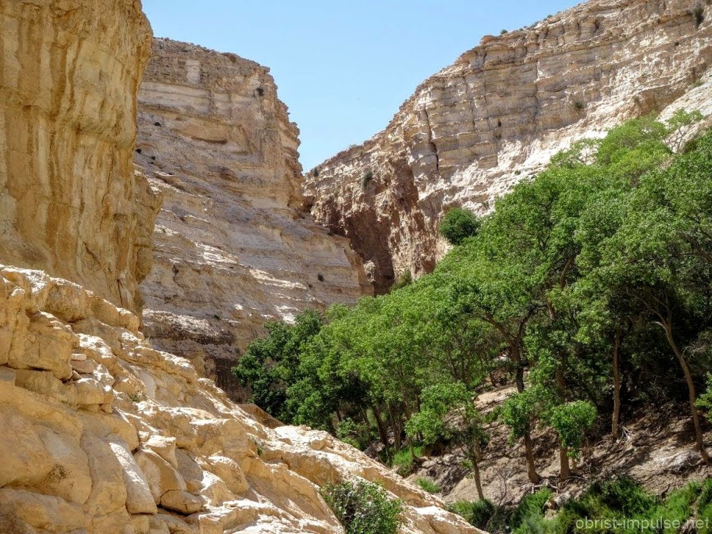 En-Awdat-Nationalpark im Negev Israel (En Avdat) by obrist-impulse.net