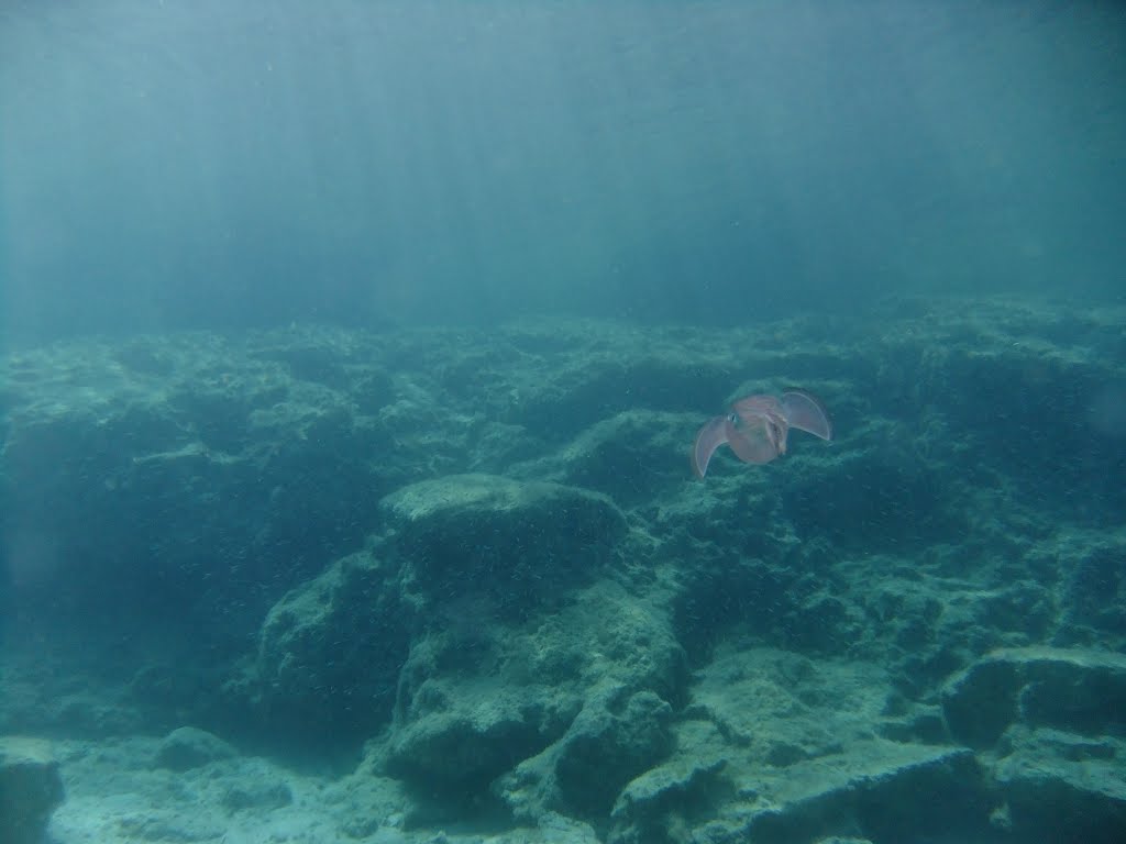 Tassou Isaac, Protaras, Cyprus by Andrey Gron