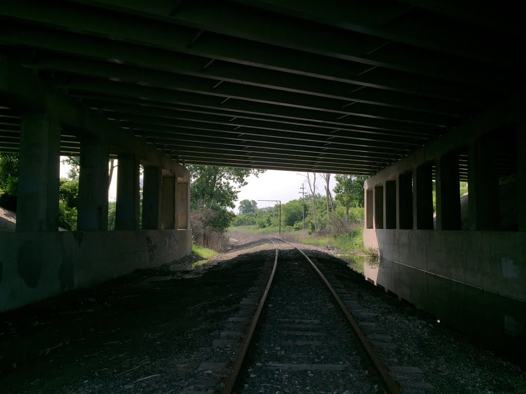 River Raisin Heritage Trail by Brendan Gutenschwage…