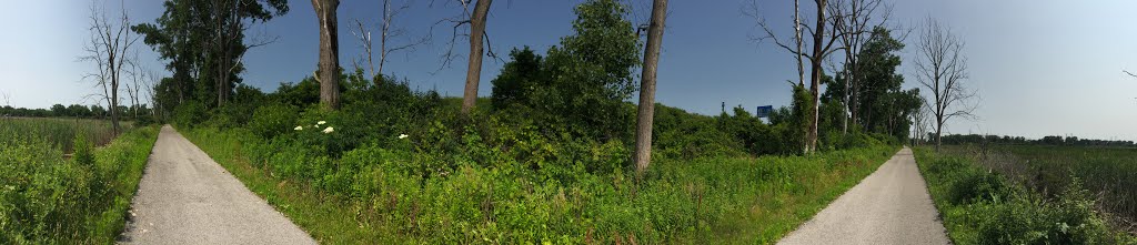 River Raisin Heritage Trail by Brendan Gutenschwage…