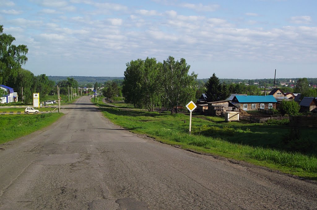 Zalesovo, Altayskiy kray, Russia, 659220 by Andy Psyandr