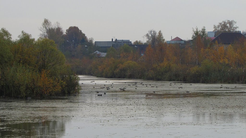 Lobnya, Moscow Oblast, Russia by Lyseria