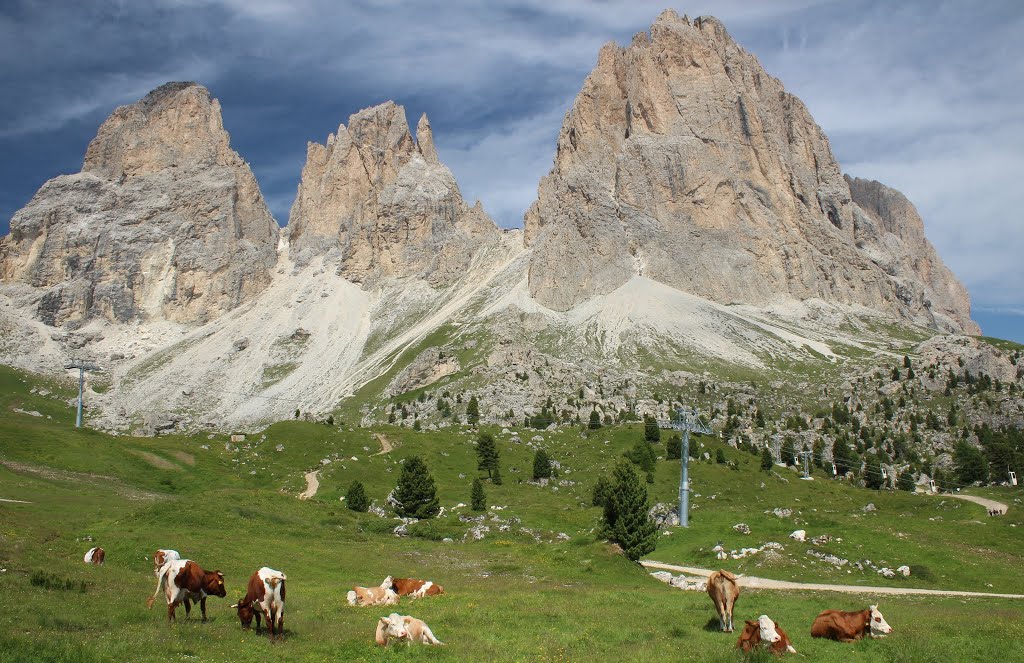 Canazei, Province of Trento, Italy by Jakub Točín