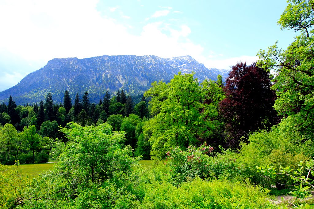 Bayern. Linderhof by Igor Lazarevich