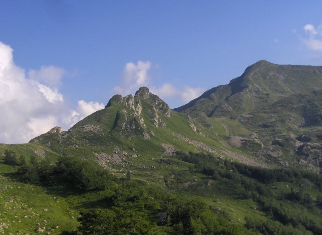 Alpe Tre Potenze 1940m by Loris Stancari