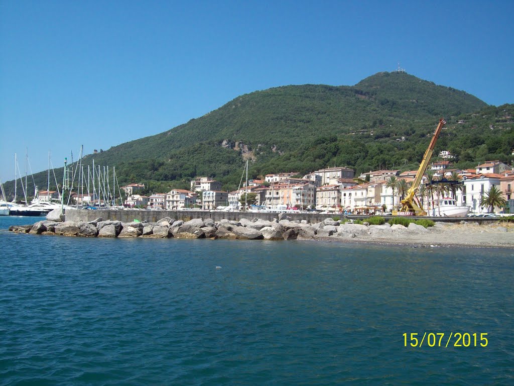 Input port of Scario by G.Pellegrino